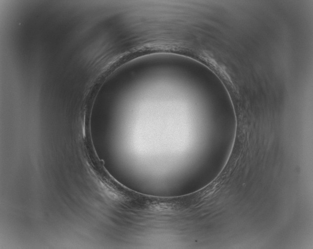 X0000076400062200610061227