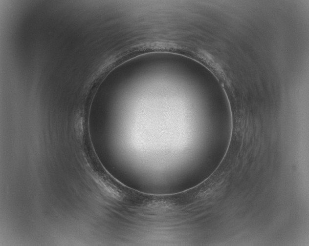 X0000076400063200610061228