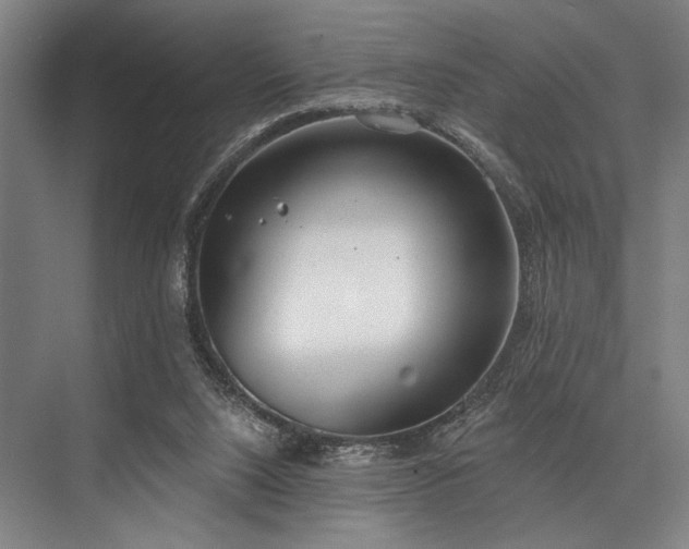 X0000076400064200610061228