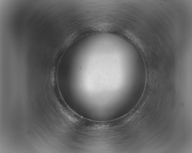 X0000076400065200610061228