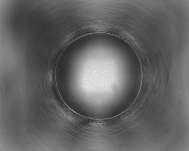 X0000076400071200610061228