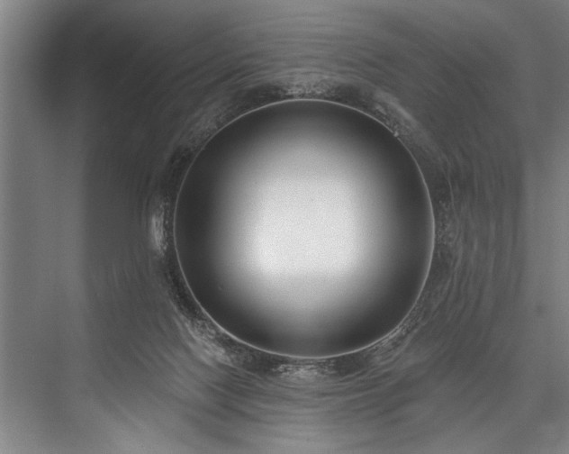 X0000076400074200610061228