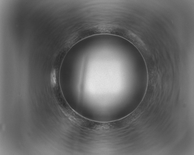 X0000076400075200610061228