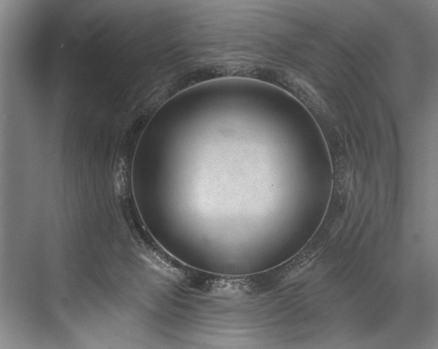 X0000076400077200610061228
