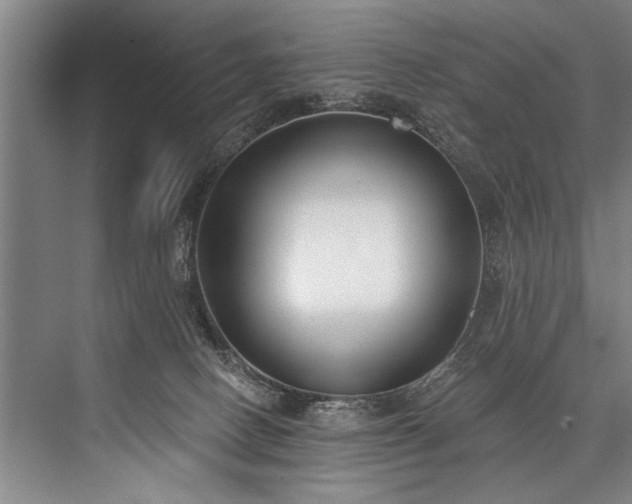 X0000076400082200610061228