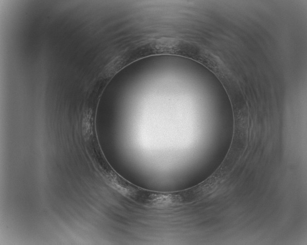 X0000076400083200610061228