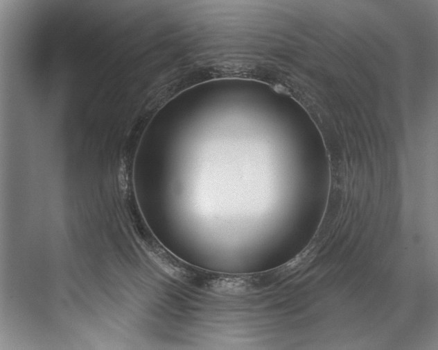 X0000076400086200610061228