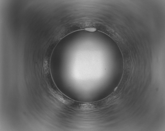 X0000076400087200610061228