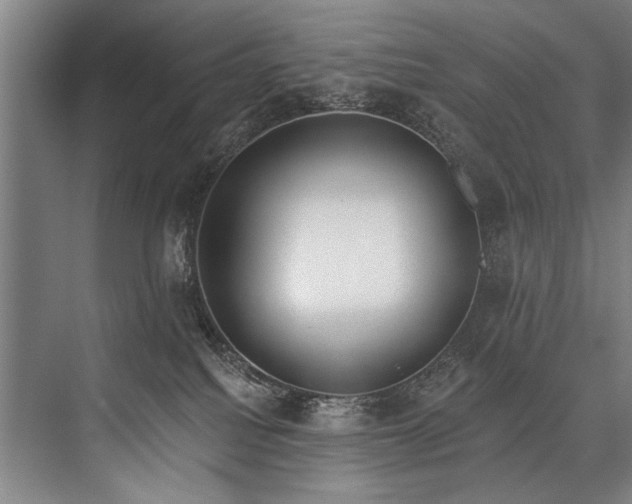 X0000076400088200610061228