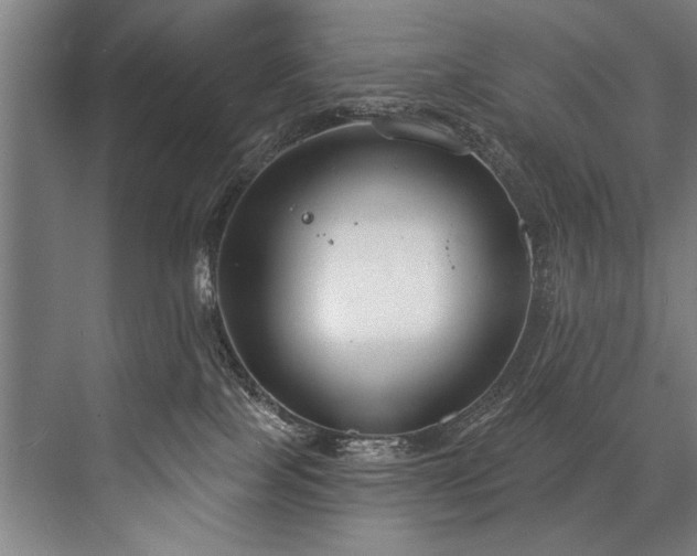 X0000076400089200610061228