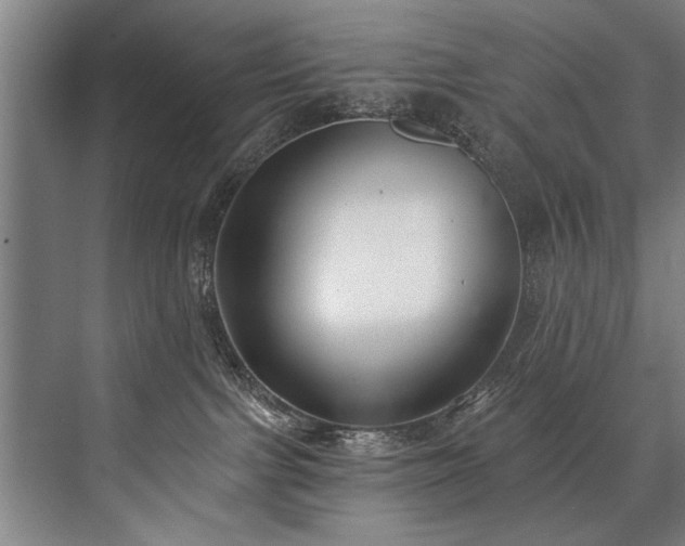 X0000076400091200610061228