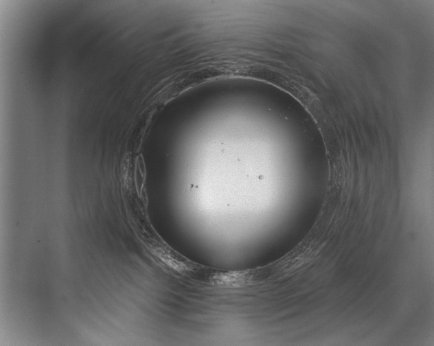 X0000076400092200610061228