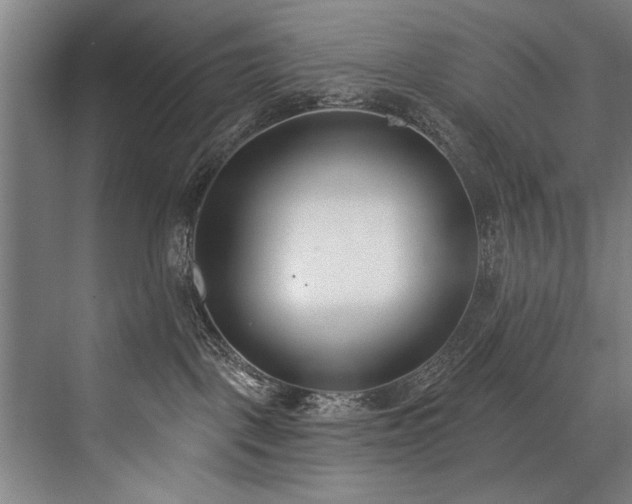 X0000076400093200610061228