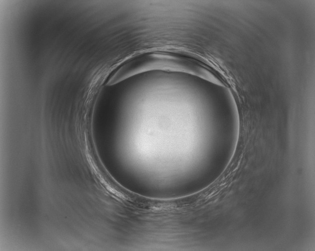 X0000076400097200610061227