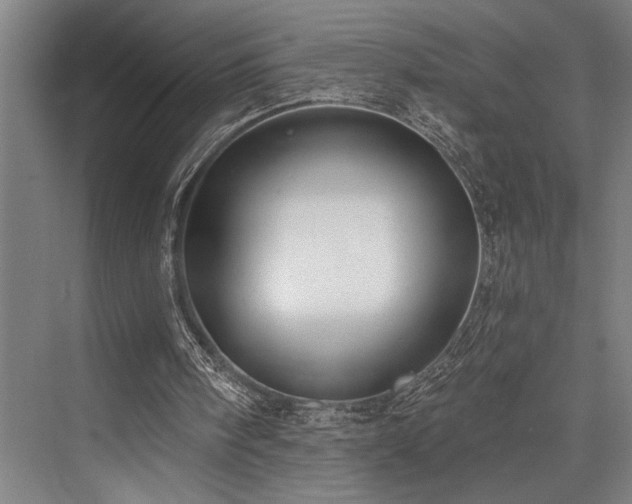 X0000076400098200610061227