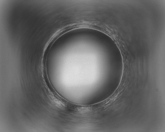 X0000076400102200610061227