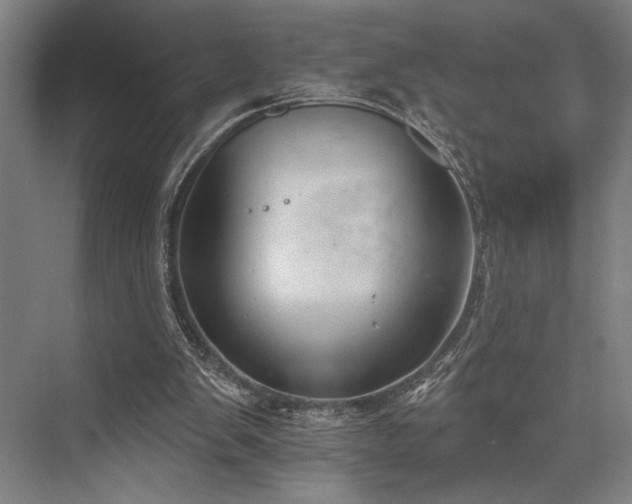 X0000076400103200610061227