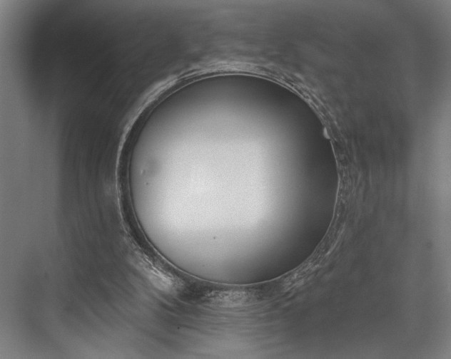X0000076400104200610061227
