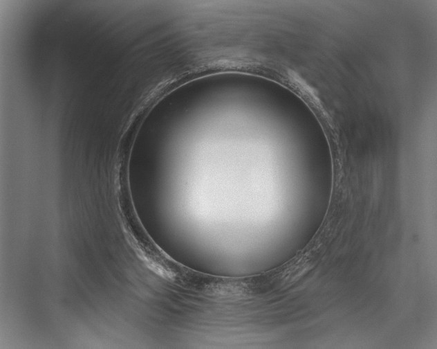 X0000076400106200610061227
