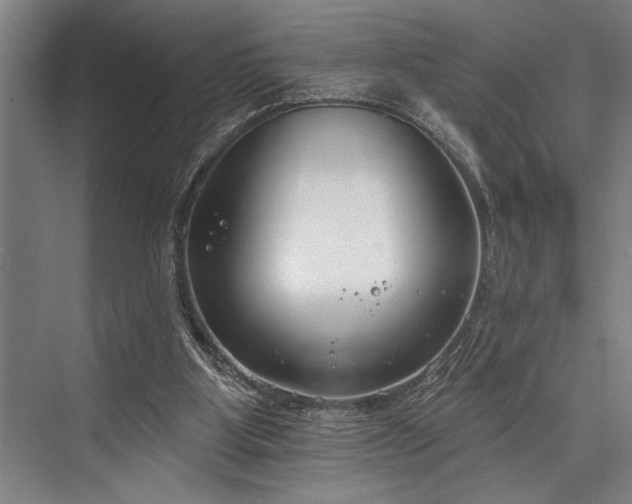 X0000076400107200610061227