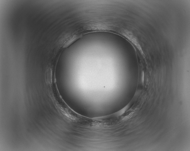 X0000076400109200610061227