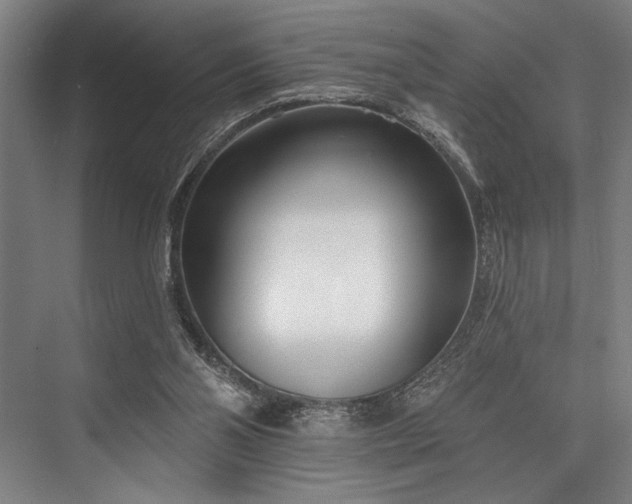 X0000076400110200610061227
