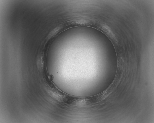 X0000076400116200610061227