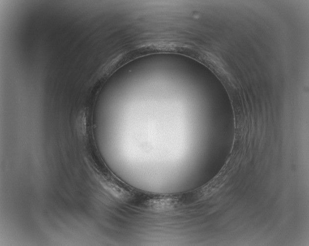X0000076400120200610061227