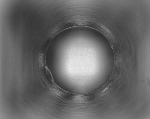 X0000076400121200610061227
