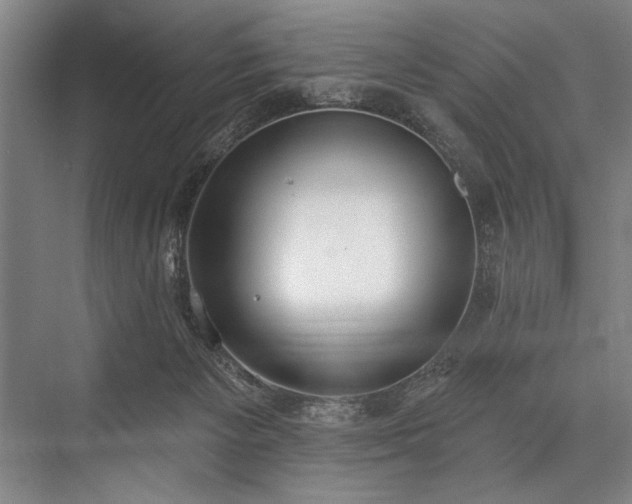 X0000076400125200610061227