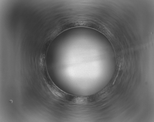 X0000076400126200610061227