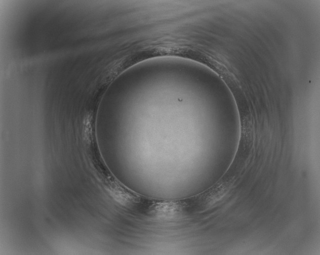 X0000076400127200610061227
