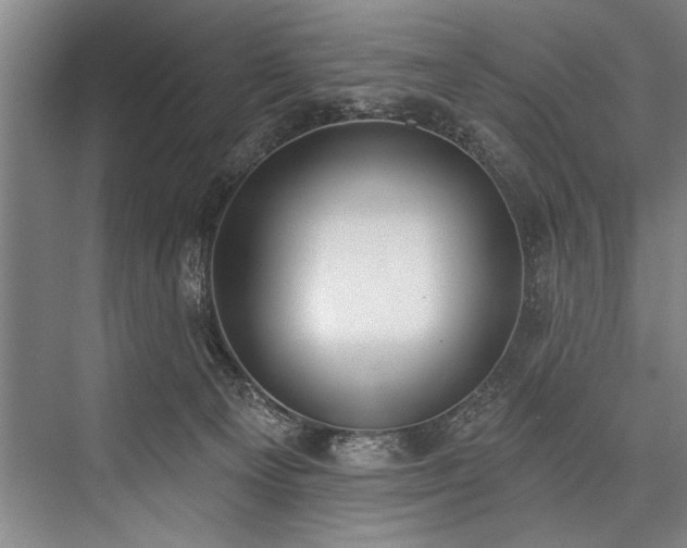 X0000076400129200610061227
