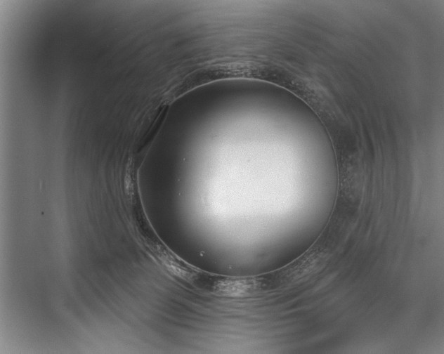X0000076400131200610061227
