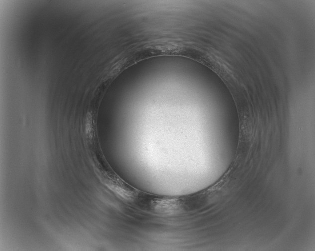 X0000076400132200610061227