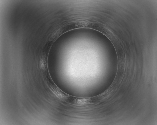 X0000076400134200610061227