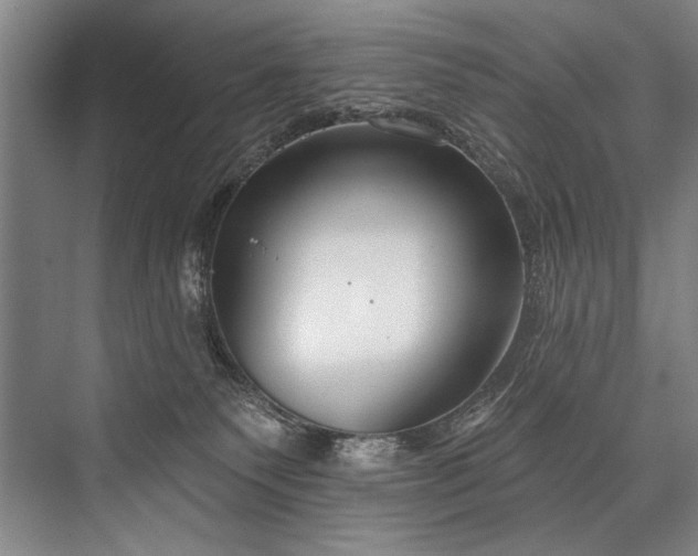 X0000076400135200610061227