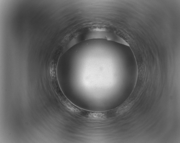 X0000076400137200610061227