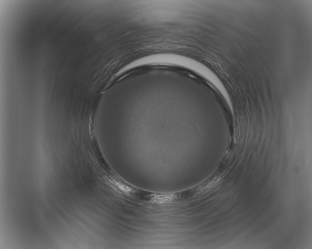 X0000076400143200610061226