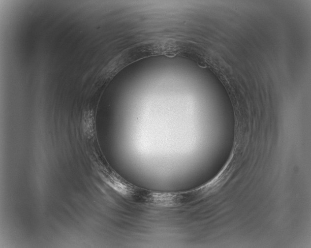 X0000076400144200610061226