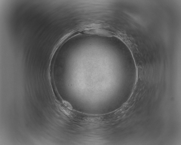 X0000076400147200610061226