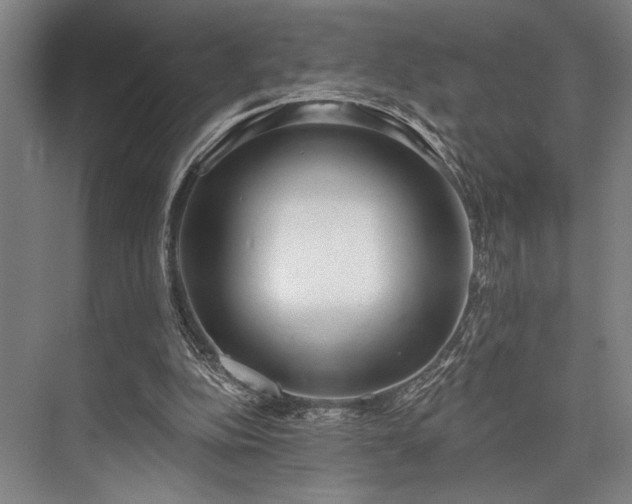 X0000076400152200610061226