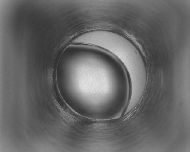 X0000076400154200610061226