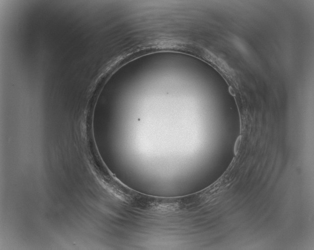 X0000076400155200610061226