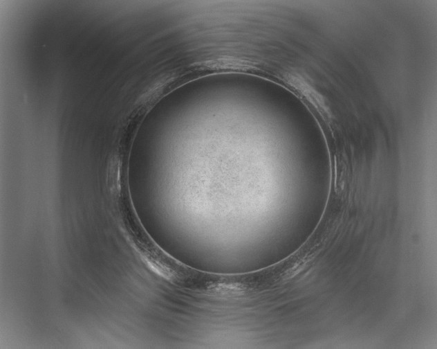 X0000076400157200610061226