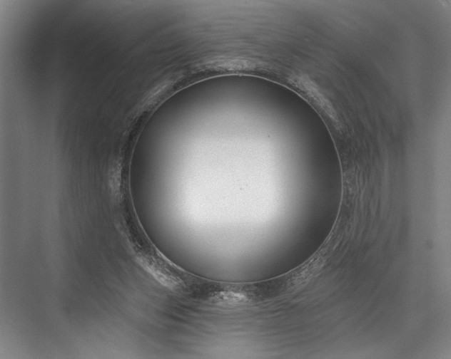X0000076400159200610061226
