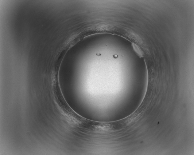 X0000076400164200610061226