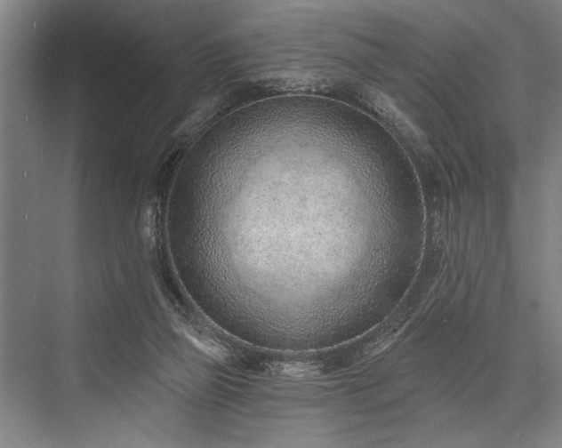 X0000076400165200610061226