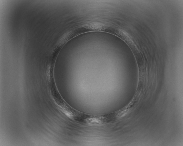X0000076400167200610061226