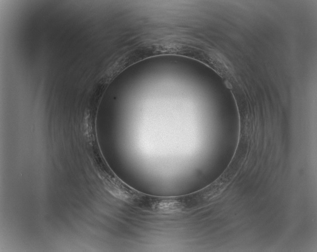 X0000076400173200610061226